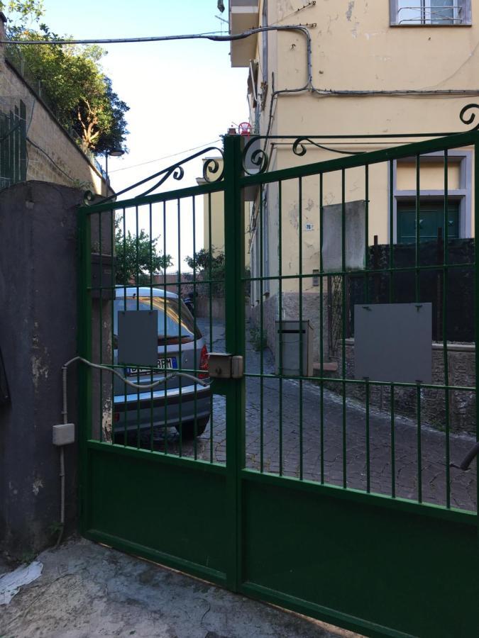 Terra Mia Napoli